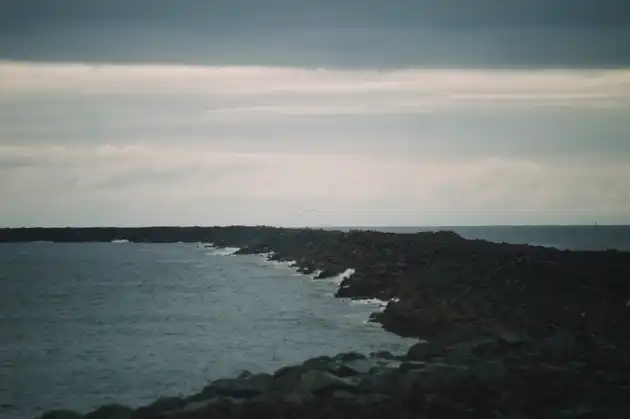  DSC1415