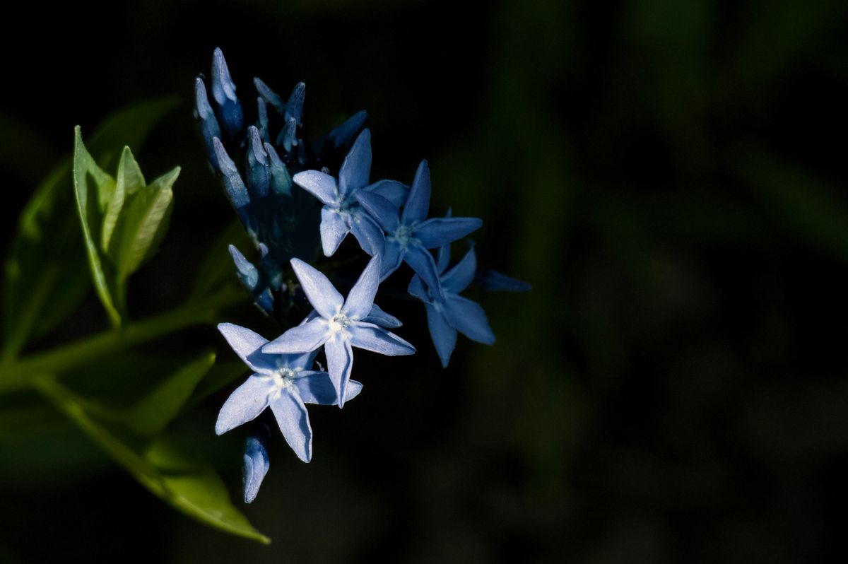 _DSC3241