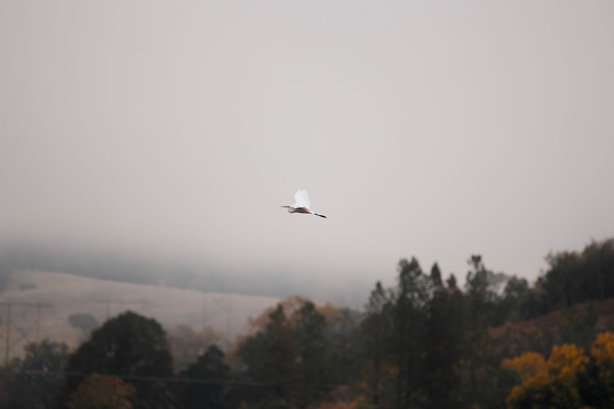 _DSC0180